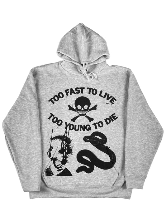 TOO FAST HOODIE GRAU