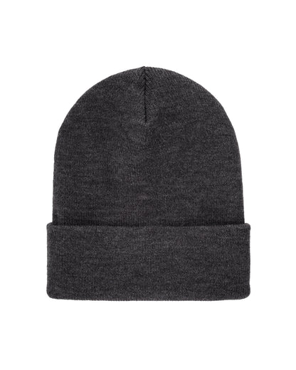 BASIC LONG BEANIE